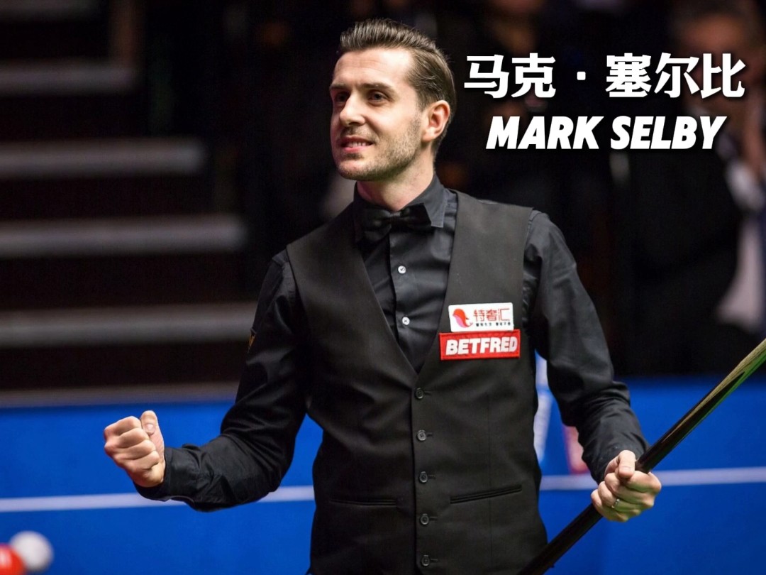 索引擎优化 索引擎优化