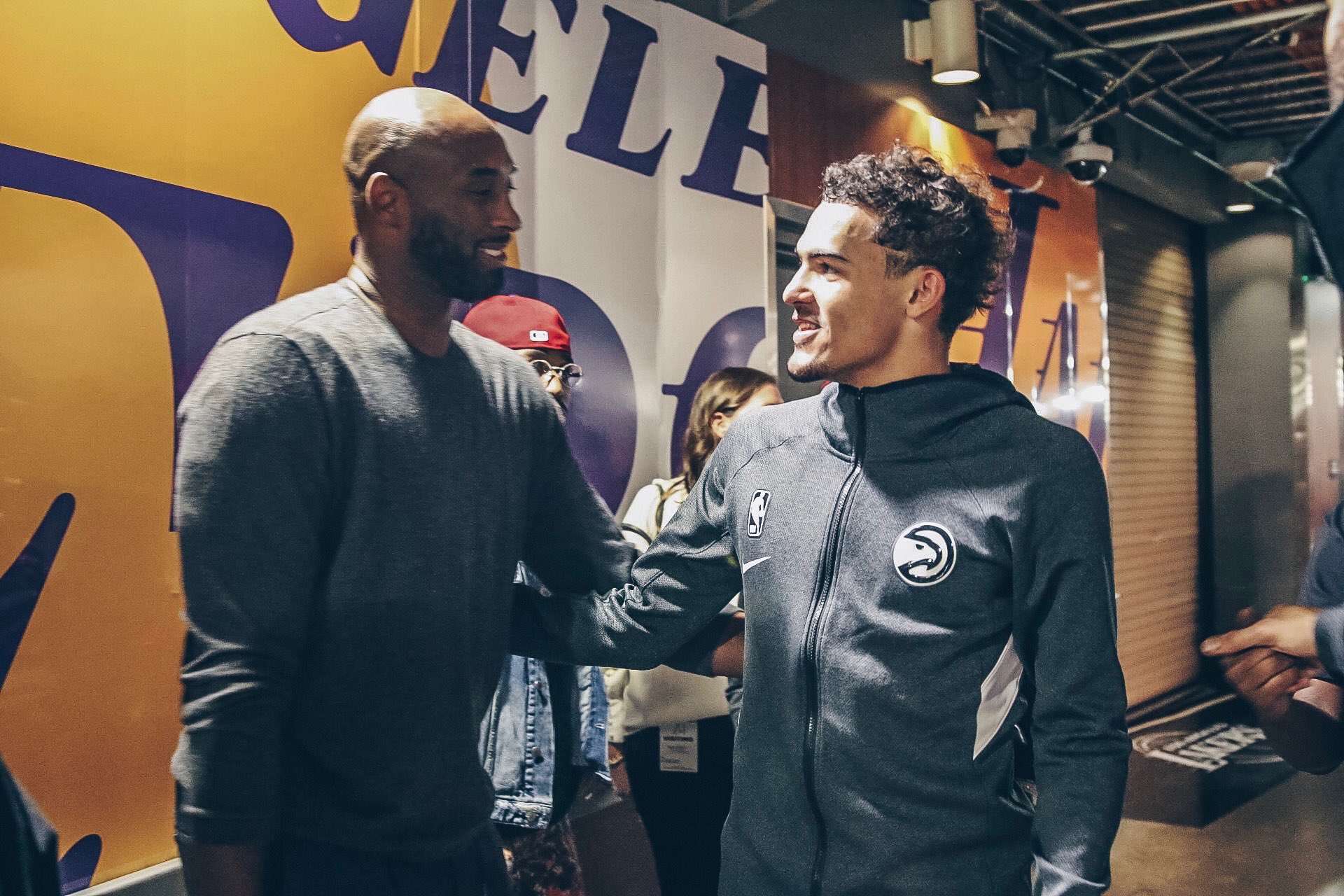 他职业生涯 他职业生涯